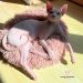 Weiße Nacktkatze / King als "Pink Panter"